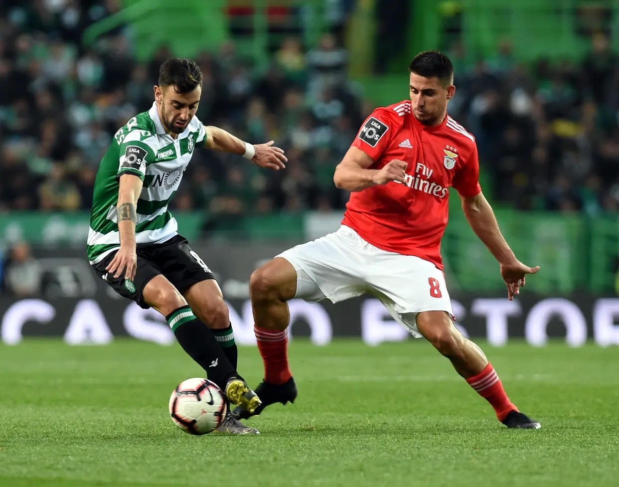 xingkong.com-包含葡萄牙体育训练开放日,国际比赛日门线救险引欢呼,CBA季后赛在即,身体对抗强度拉满的词条