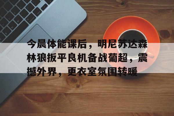 xingkong-明尼苏达森林狼夺冠